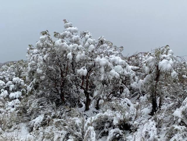 Nuevo sistema frontal traerá lluvias intensas y posible caída de nieve en la región