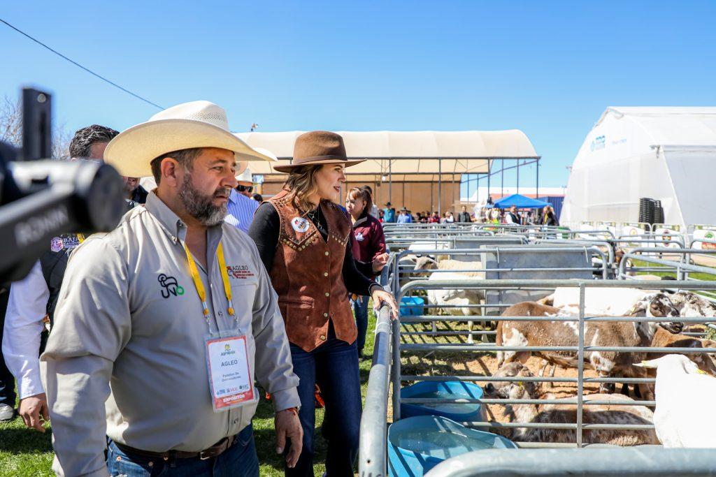 Marina del Pilar anuncia revalidación gratuita de patentes ganaderas y comerciales