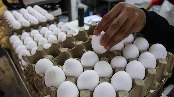 Incremento en decomisos de huevos en la frontera debido al alto precio en EE. UU.